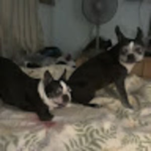 Meet your Posher, Cyndi